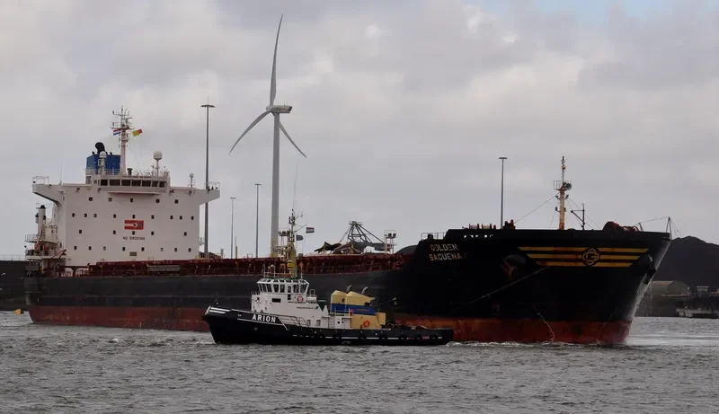 EVANGELISTRIA Bulk Carrier IMO 9383857 photo 8