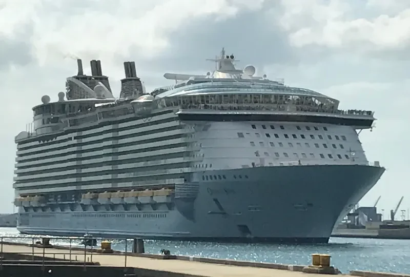 OASIS OF THE SEAS Passenger Ship IMO 9383936 photo 3