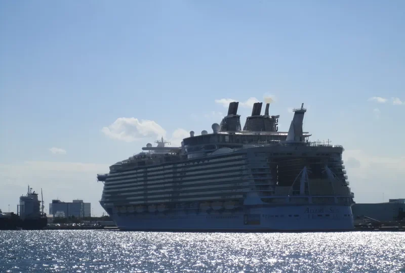 ALLURE OF THE SEAS Passenger Ship IMO 9383948 photo 8