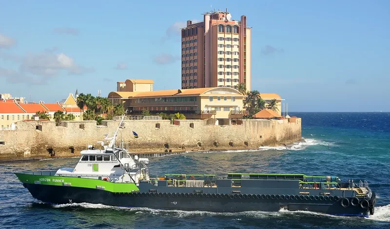 HORIZON RUNNER Passenger Ship IMO 9384045 photo 2
