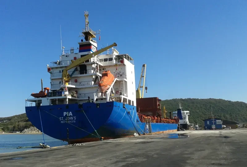 PIA General Cargo IMO 9384318 photo 4