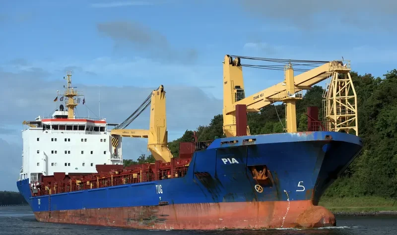 PIA General Cargo IMO 9384318 photo 7