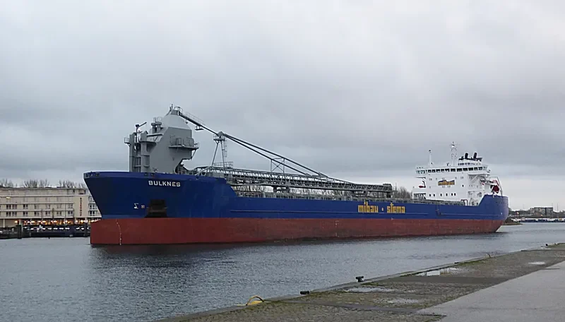 BULKNES Bulk Carrier IMO 9384370 photo 4