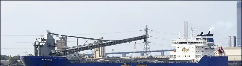 BULKNES Bulk Carrier IMO 9384370 photo 8