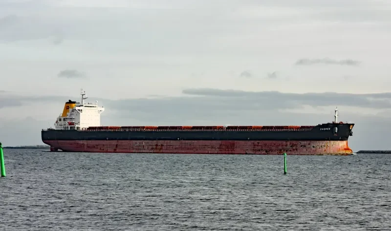ZAGREB Bulk Carrier IMO 9384502 photo 8