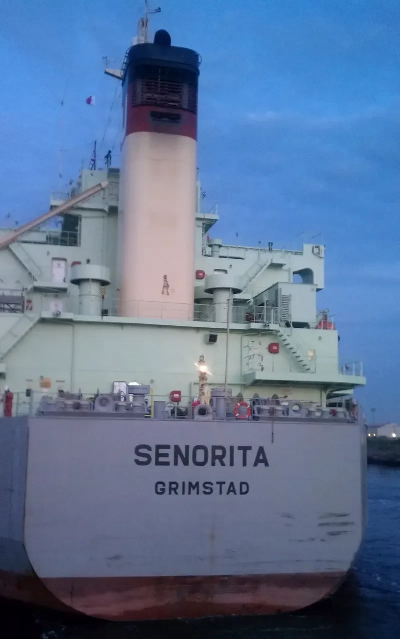 SENORITA Bulk Carrier IMO 9384540 photo 2
