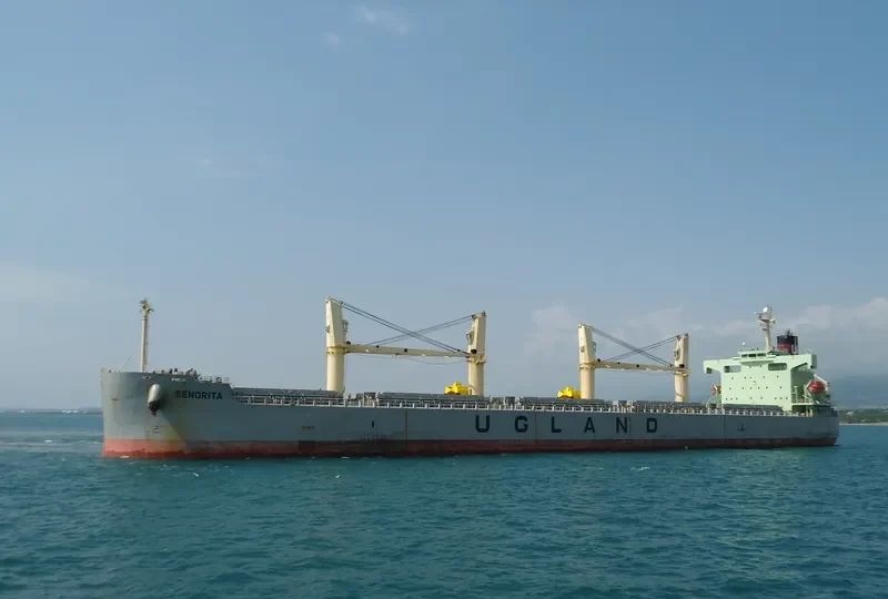 SENORITA Bulk Carrier IMO 9384540 photo 3