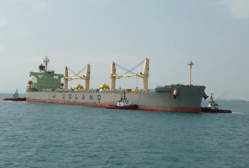 SENORITA Bulk Carrier IMO 9384540 photo 4