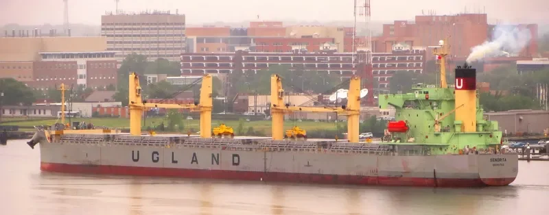 SENORITA Bulk Carrier IMO 9384540 photo 5