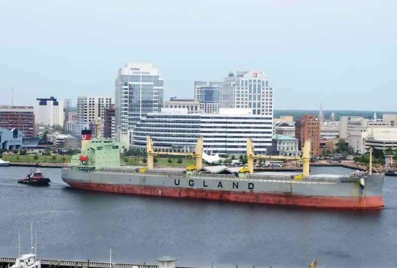 SENORITA Bulk Carrier IMO 9384540 photo 6