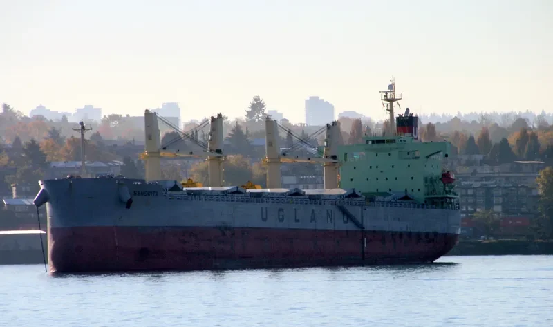 SENORITA Bulk Carrier IMO 9384540 photo 8