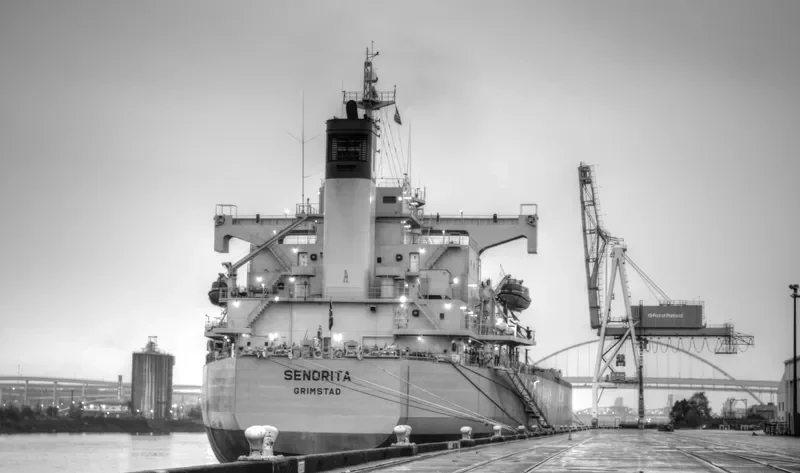 SENORITA Bulk Carrier IMO 9384540 photo 9