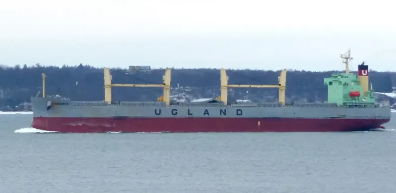 SENORITA Bulk Carrier IMO 9384540 photo 10