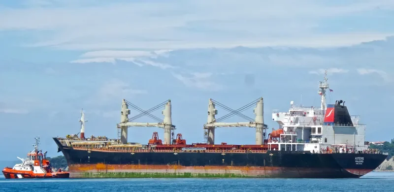 ASTERIS Bulk Carrier IMO 9384796 photo 5