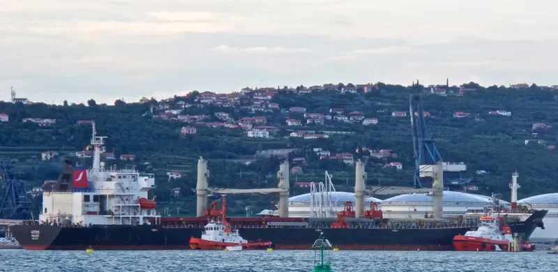 ASTERIS Bulk Carrier IMO 9384796 photo 7