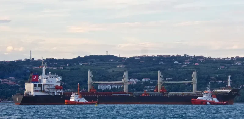 ASTERIS Bulk Carrier IMO 9384796 photo 8