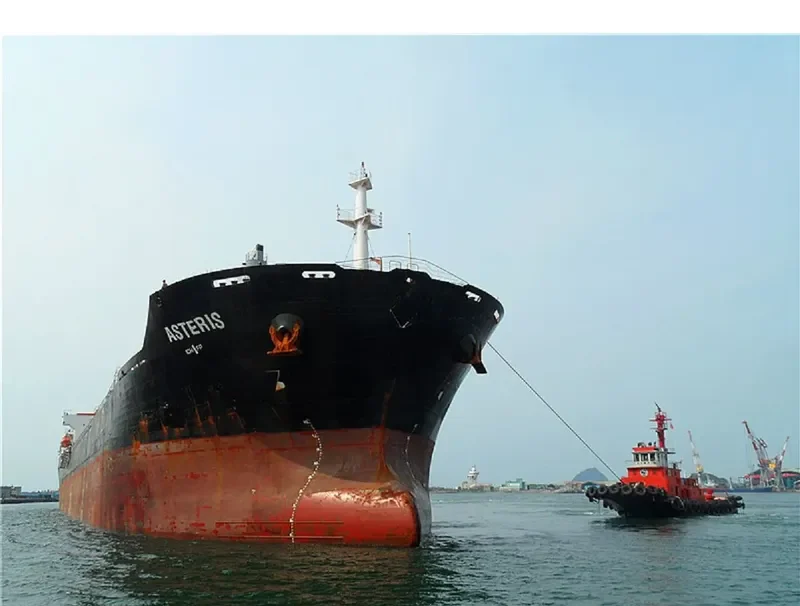 ASTERIS Bulk Carrier IMO 9384796 photo 10