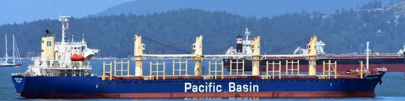 TAIHUA STAR Bulk Carrier IMO 9384851 photo 2