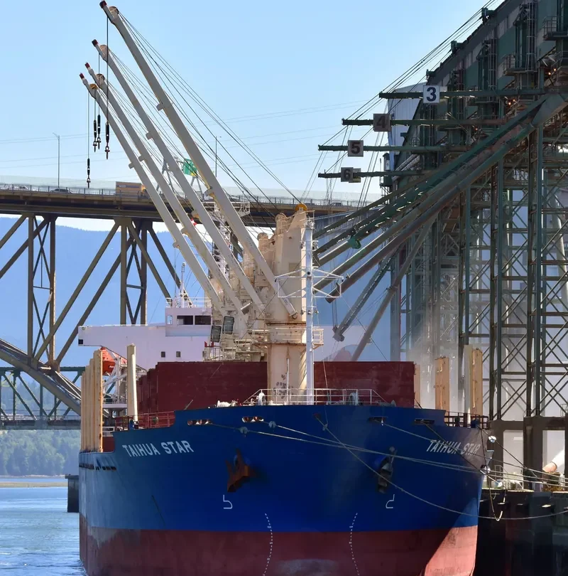 TAIHUA STAR Bulk Carrier IMO 9384851 photo 4