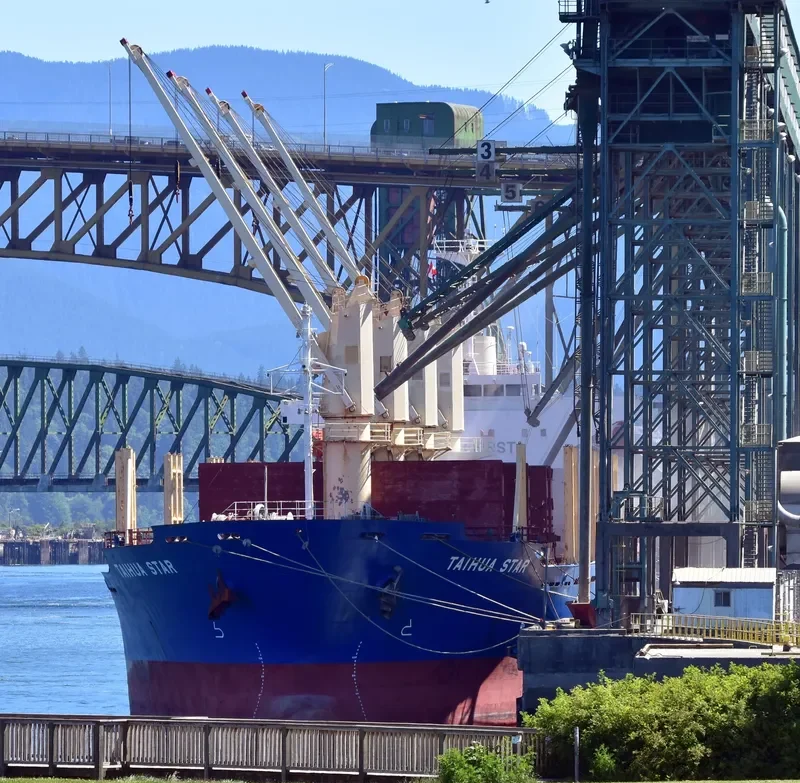 TAIHUA STAR Bulk Carrier IMO 9384851 photo 5