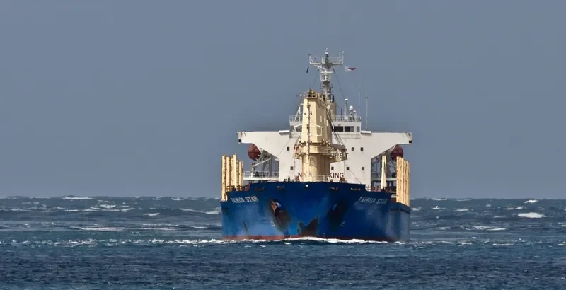TAIHUA STAR Bulk Carrier IMO 9384851 photo 9