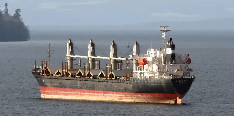 MARIA THEO 1 Bulk Carrier IMO 9384863 photo 4