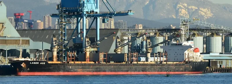MARIA THEO 1 Bulk Carrier IMO 9384863 photo 6