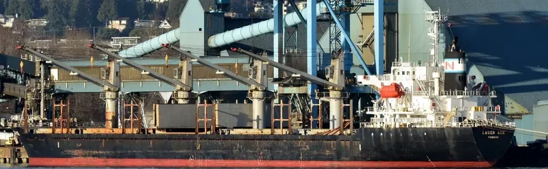 MARIA THEO 1 Bulk Carrier IMO 9384863 photo 7