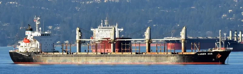 MARIA THEO 1 Bulk Carrier IMO 9384863 photo 8