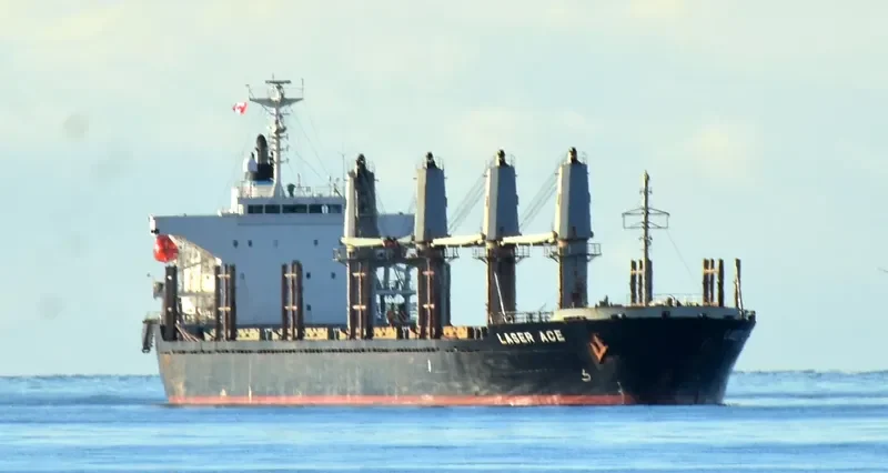 MARIA THEO 1 Bulk Carrier IMO 9384863 photo 9