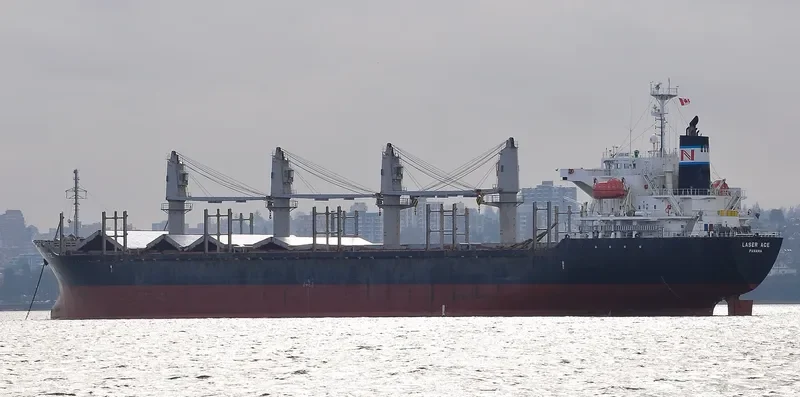 MARIA THEO 1 Bulk Carrier IMO 9384863 photo 10
