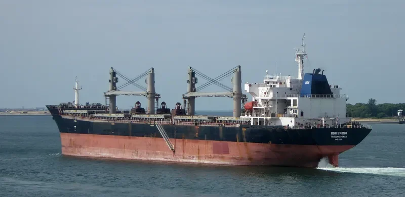 MDM BROMO Bulk Carrier IMO 9384904