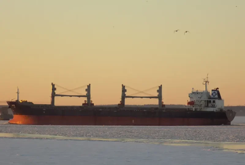 MDM BROMO Bulk Carrier IMO 9384904 photo 2