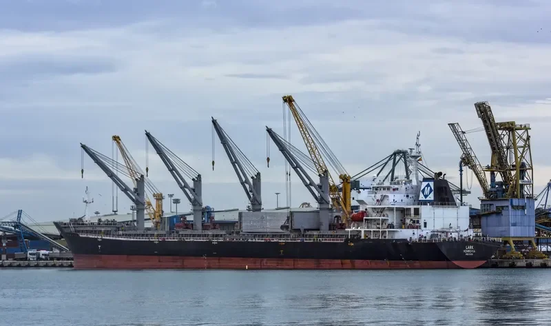 MDM BROMO Bulk Carrier IMO 9384904 photo 3