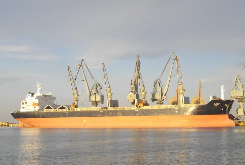 MDM BROMO Bulk Carrier IMO 9384904 photo 4