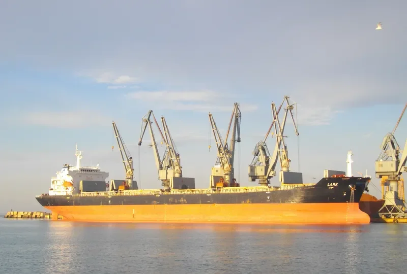 MDM BROMO Bulk Carrier IMO 9384904 photo 5