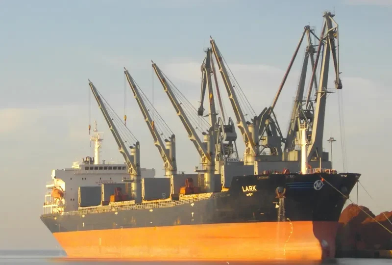 MDM BROMO Bulk Carrier IMO 9384904 photo 6