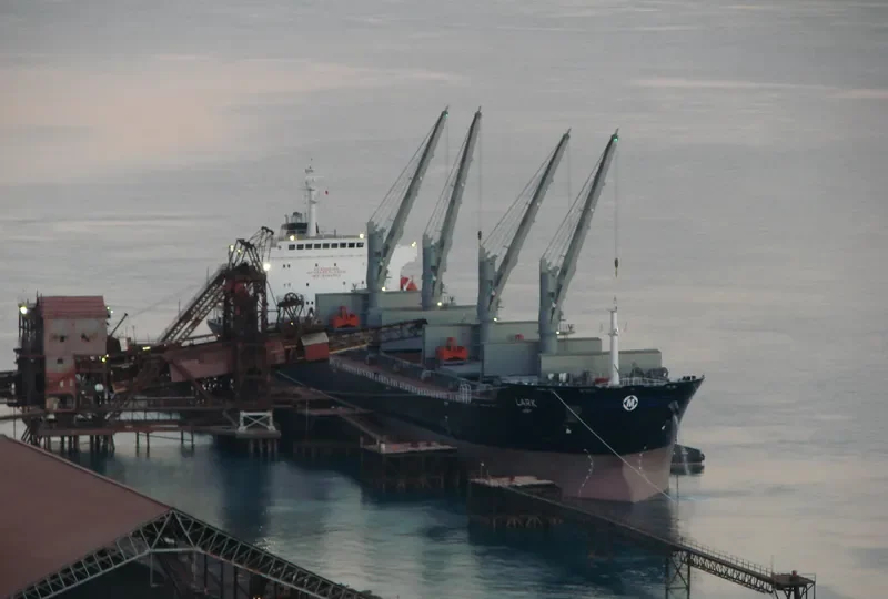 MDM BROMO Bulk Carrier IMO 9384904 photo 7