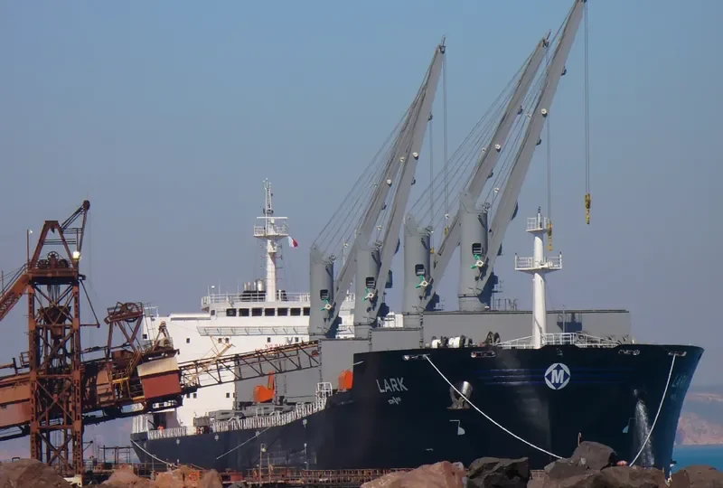 MDM BROMO Bulk Carrier IMO 9384904 photo 8