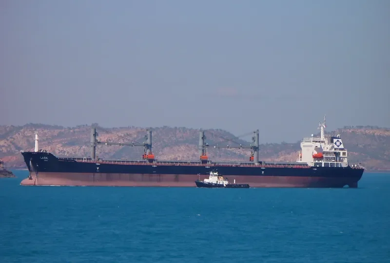 MDM BROMO Bulk Carrier IMO 9384904 photo 9