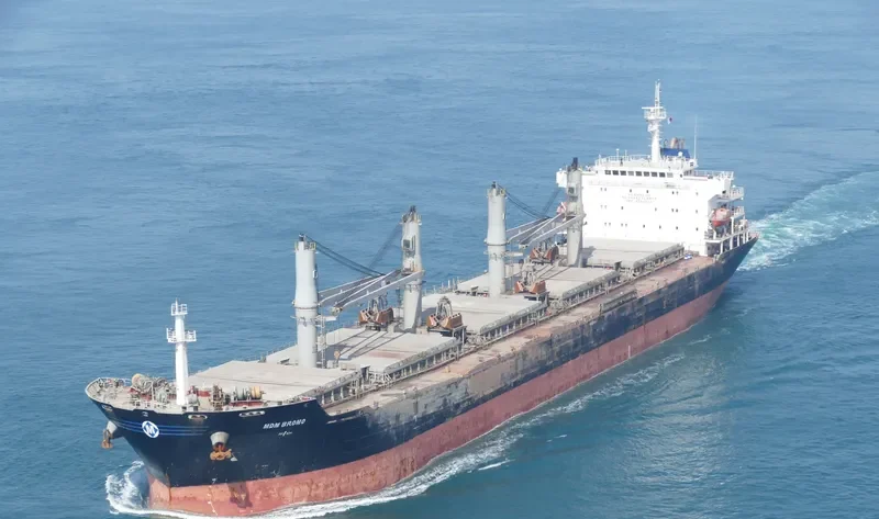 MDM BROMO Bulk Carrier IMO 9384904 photo 10