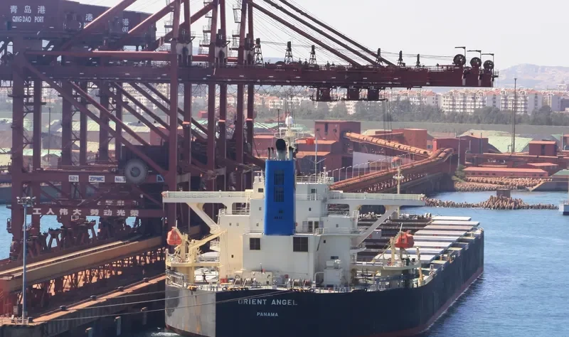 ORIENT ANGEL Bulk Carrier IMO 9384916 photo 3