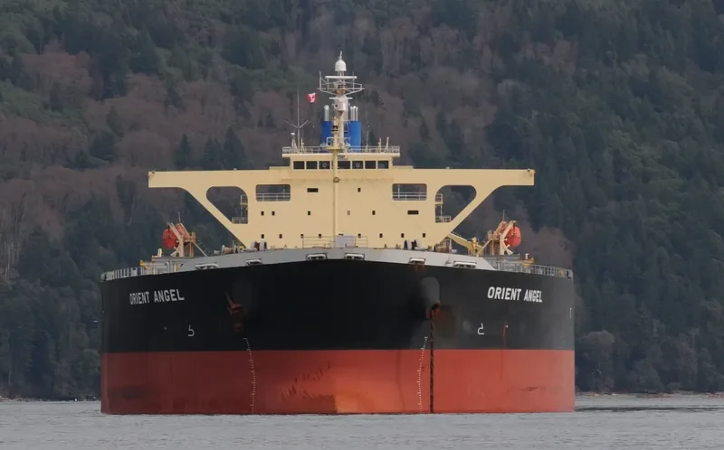 ORIENT ANGEL Bulk Carrier IMO 9384916 photo 9