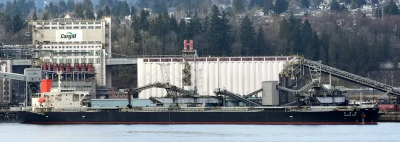 SAKAIDE MARU Bulk Carrier IMO 9384928 photo 2