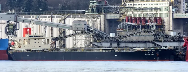 SAKAIDE MARU Bulk Carrier IMO 9384928 photo 3
