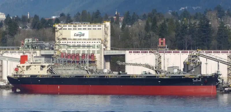SAKAIDE MARU Bulk Carrier IMO 9384928 photo 4