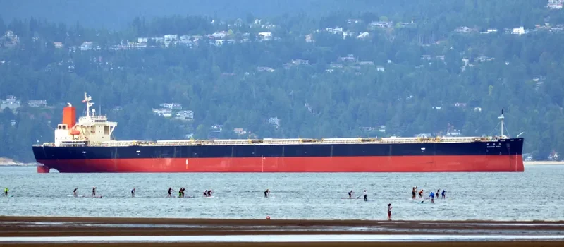 SAKAIDE MARU Bulk Carrier IMO 9384928 photo 5