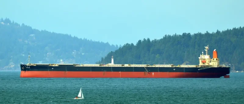 SAKAIDE MARU Bulk Carrier IMO 9384928 photo 8