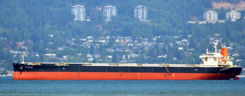 SAKAIDE MARU Bulk Carrier IMO 9384928 photo 9