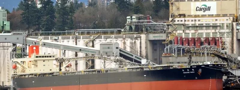 SAKAIDE MARU Bulk Carrier IMO 9384928 photo 10